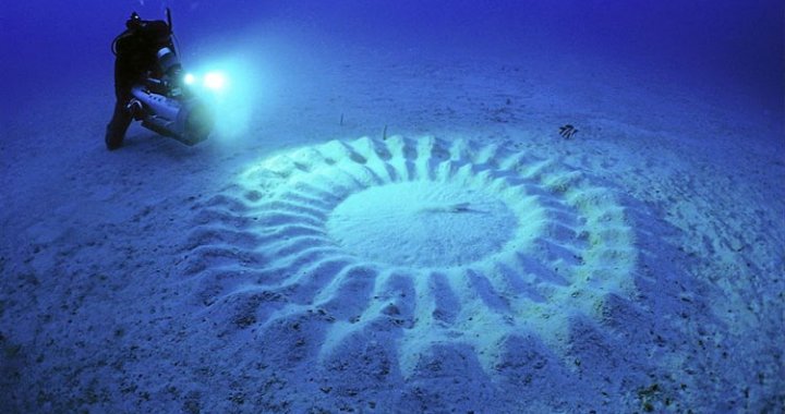 Tajemnicze kręgi na dnie Oceanu Spokojnego